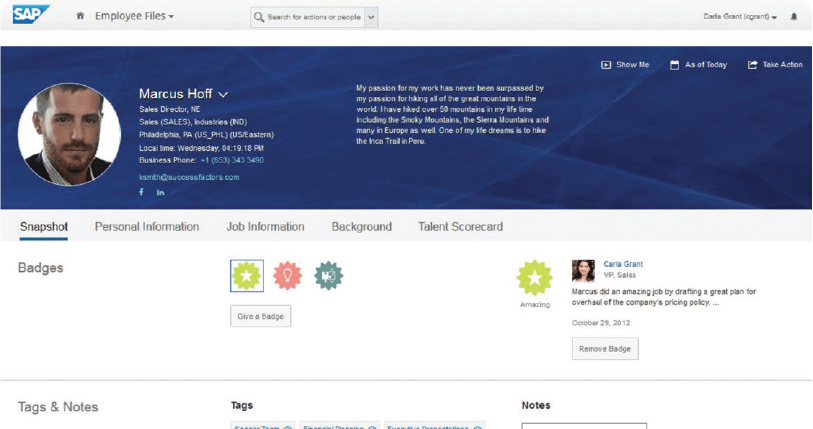 SAP Success Factor Job position Profile Page