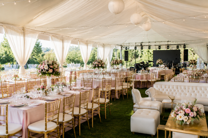 Party, Event & Furniture Rental odoo for rental
