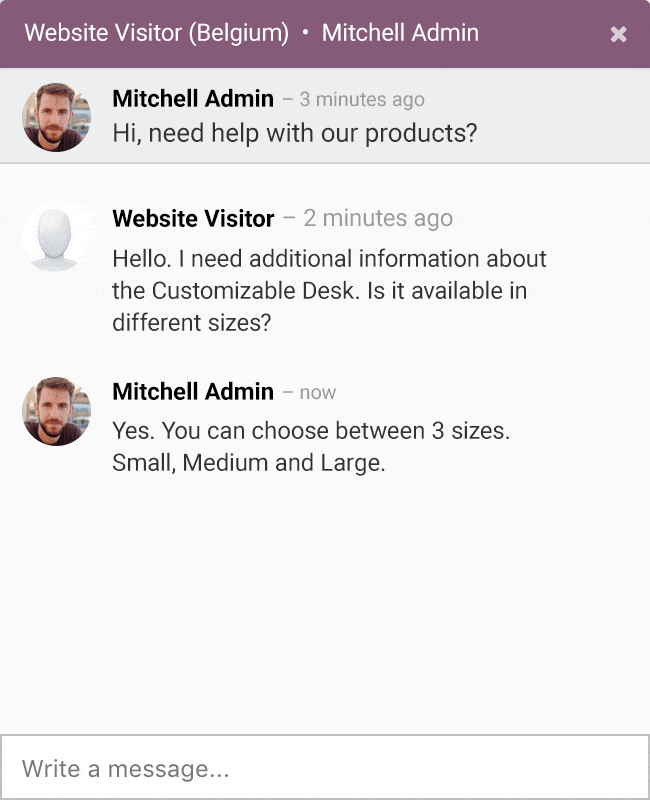 Odoo website visitor