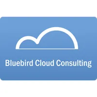 Bluebird Cloud Consulting