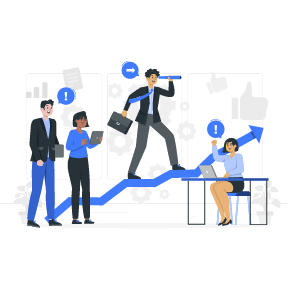 Management And Executive BI reporting